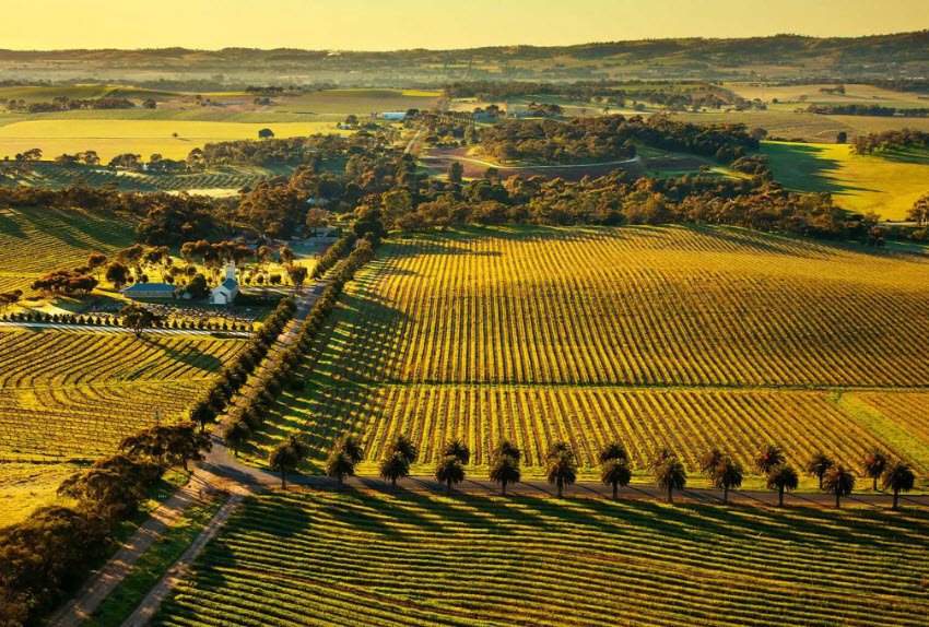 Barossa Valley, South Australia, Australia